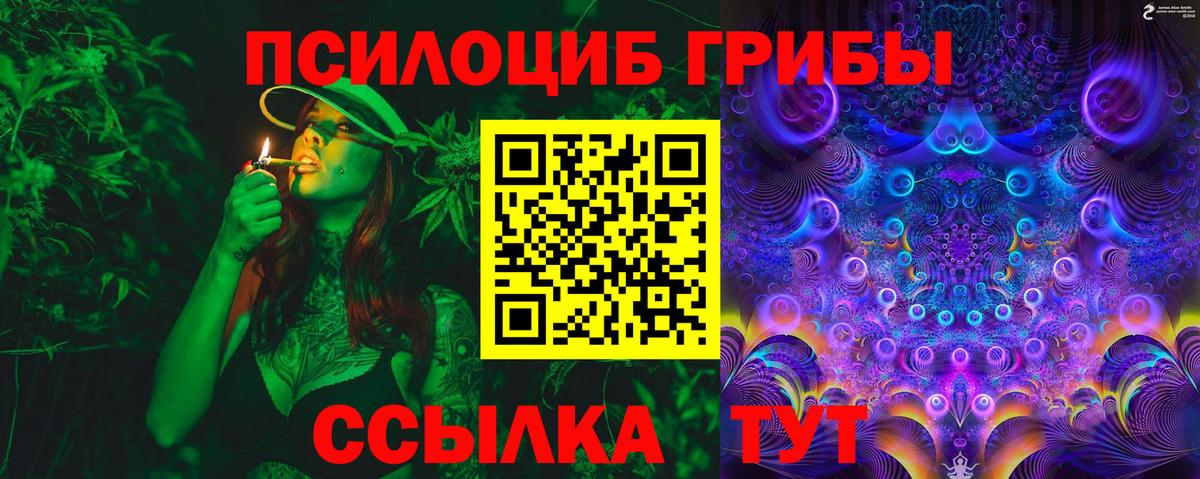 Североморск  Галлюциногенные грибы мухоморы  Вход с VPN 