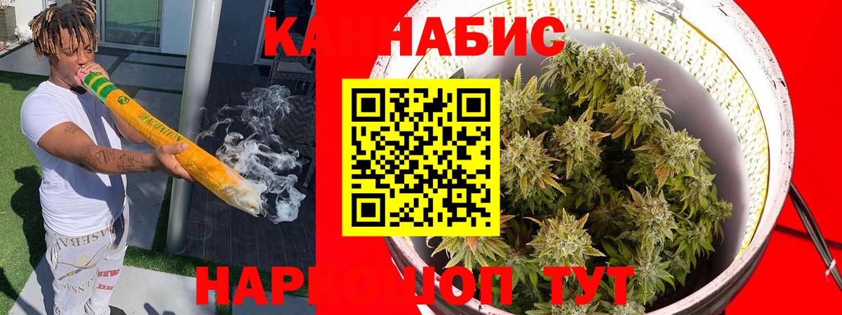Канабис планчик  Бошки марихуана тримм  Вход с VPN  Североморск 